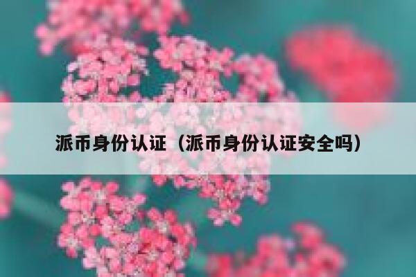 派币身份认证（派币身份认证安全吗） 第1张
