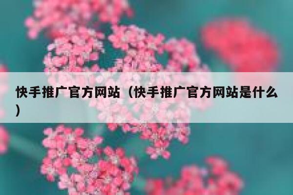 快手推广官方网站（快手推广官方网站是什么） 第1张