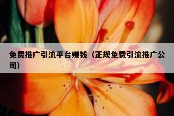 免费推广引流平台赚钱（正规免费引流推广公司） 第1张