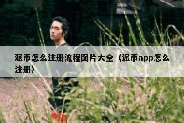 派币怎么注册流程图片大全（派币app怎么注册） 第1张