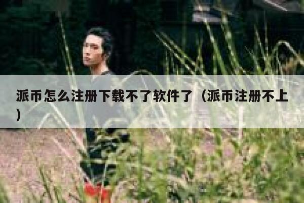 派币怎么注册下载不了软件了（派币注册不上） 第1张