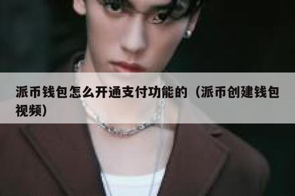 派币钱包怎么开通支付功能的（派币创建钱包视频） 第1张