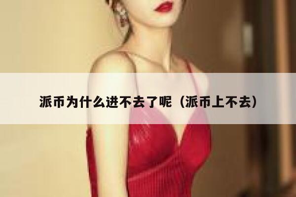 派币为什么进不去了呢（派币上不去） 第1张
