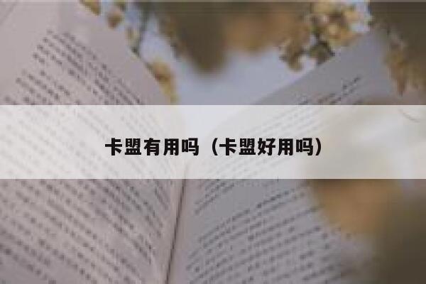 卡盟有用吗（卡盟好用吗） 第1张