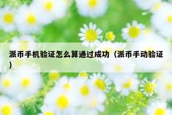 派币手机验证怎么算通过成功（派币手动验证） 第1张
