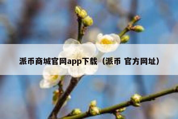 派币商城官网app下载（派币 官方网址） 第1张