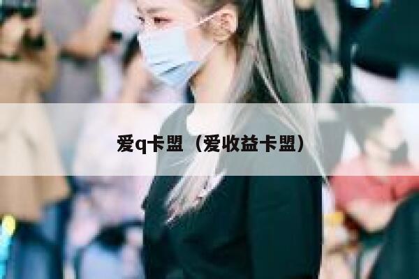 爱q卡盟（爱收益卡盟） 第1张