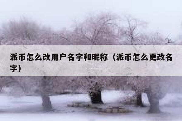派币怎么改用户名字和昵称（派币怎么更改名字） 第1张