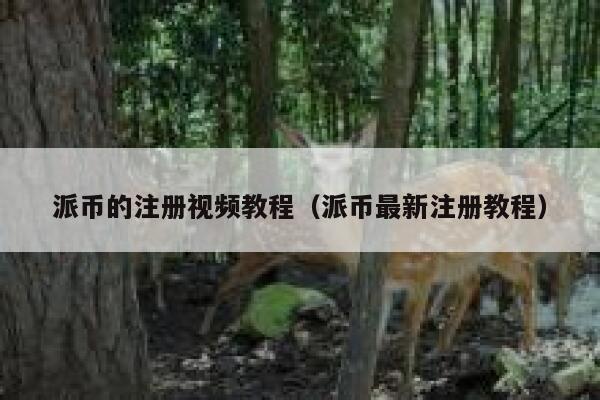 派币的注册视频教程（派币最新注册教程） 第1张