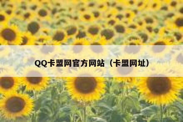 QQ卡盟网官方网站（卡盟网址） 第1张