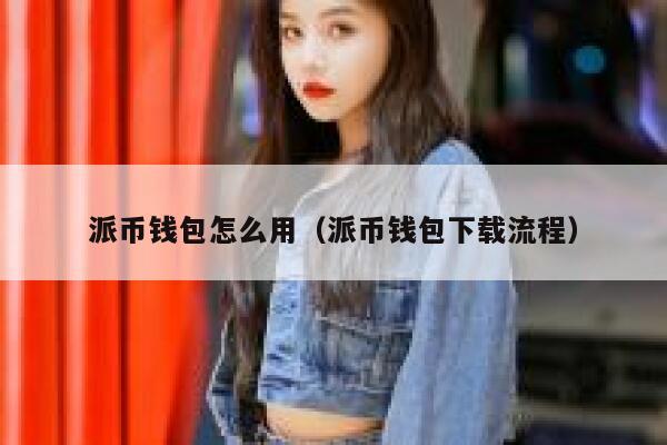 派币钱包怎么用（派币钱包下载流程） 第1张