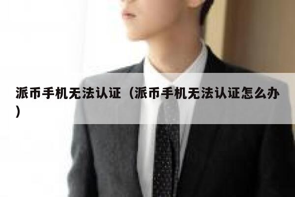 派币手机无法认证（派币手机无法认证怎么办） 第1张
