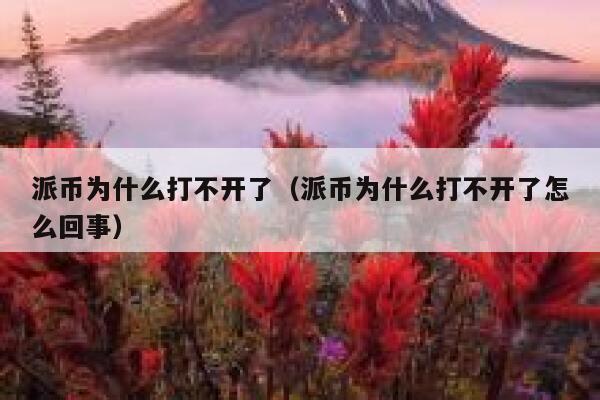 派币为什么打不开了（派币为什么打不开了怎么回事） 第1张