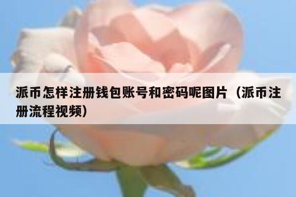 派币怎样注册钱包账号和密码呢图片（派币注册流程视频） 第1张