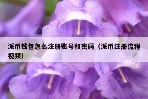 派币钱包怎么注册账号和密码（派币注册流程视频） 第1张