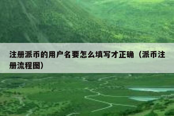 注册派币的用户名要怎么填写才正确（派币注册流程图） 第1张