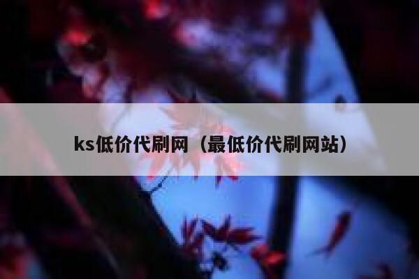 ks低价代刷网（最低价代刷网站） 第1张