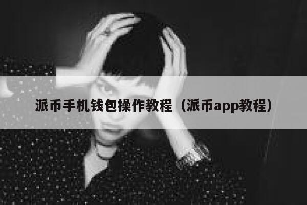 派币手机钱包操作教程（派币app教程） 第1张