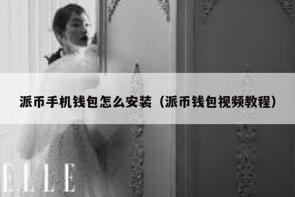 派币手机钱包怎么安装（派币钱包视频教程） 第1张