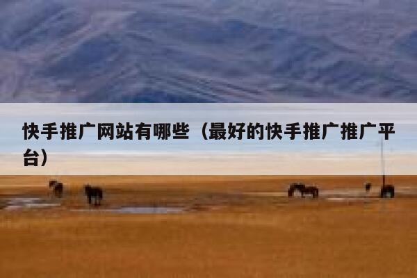 快手推广网站有哪些（最好的快手推广推广平台） 第1张