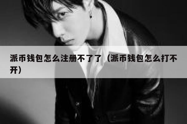 派币钱包怎么注册不了了（派币钱包怎么打不开） 第1张
