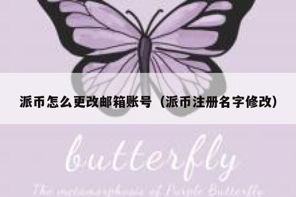 派币怎么更改邮箱账号（派币注册名字修改） 第1张