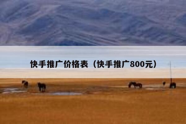 快手推广价格表（快手推广800元） 第1张