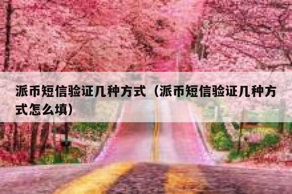 派币短信验证几种方式（派币短信验证几种方式怎么填） 第1张