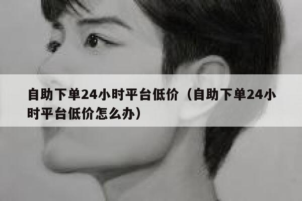 自助下单24小时平台低价（自助下单24小时平台低价怎么办） 第1张