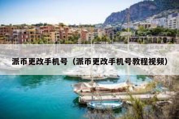 派币更改手机号（派币更改手机号教程视频） 第1张
