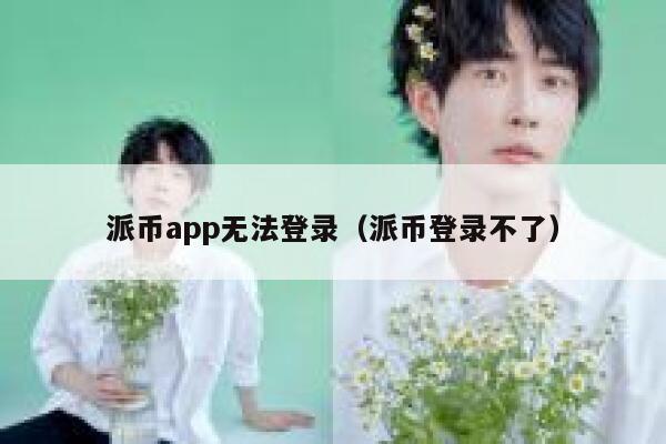 派币app无法登录（派币登录不了） 第1张