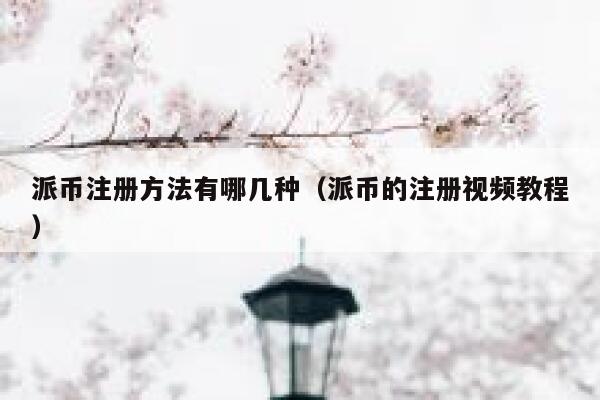 派币注册方法有哪几种（派币的注册视频教程） 第1张