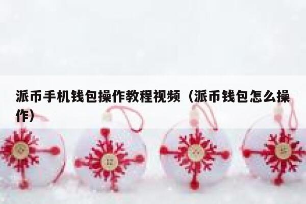 派币手机钱包操作教程视频（派币钱包怎么操作） 第1张