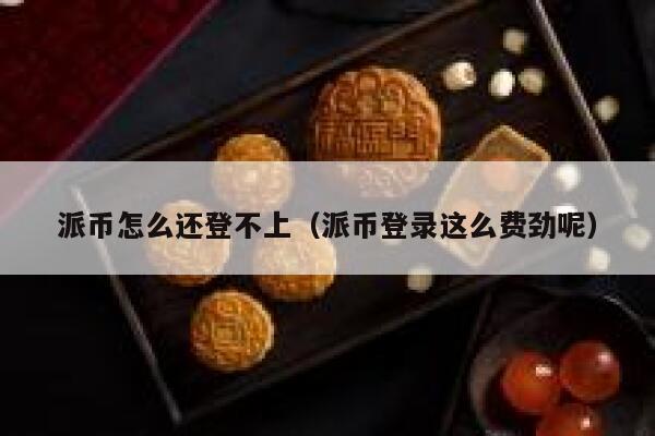 派币怎么还登不上（派币登录这么费劲呢） 第1张