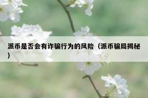 派币是否会有诈骗行为的风险（派币骗局揭秘） 第1张