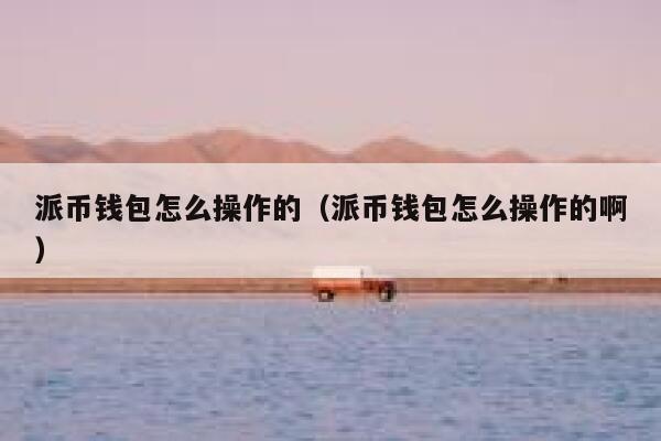 派币钱包怎么操作的（派币钱包怎么操作的啊） 第1张
