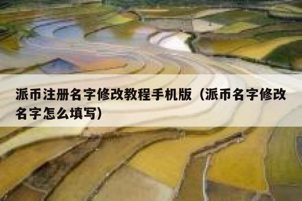派币注册名字修改教程手机版（派币名字修改名字怎么填写） 第1张