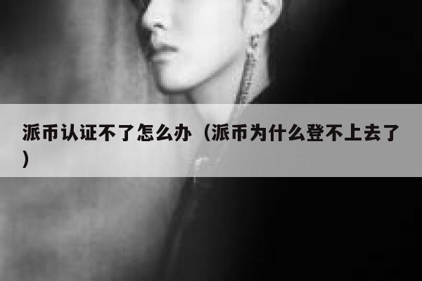 派币认证不了怎么办（派币为什么登不上去了） 第1张
