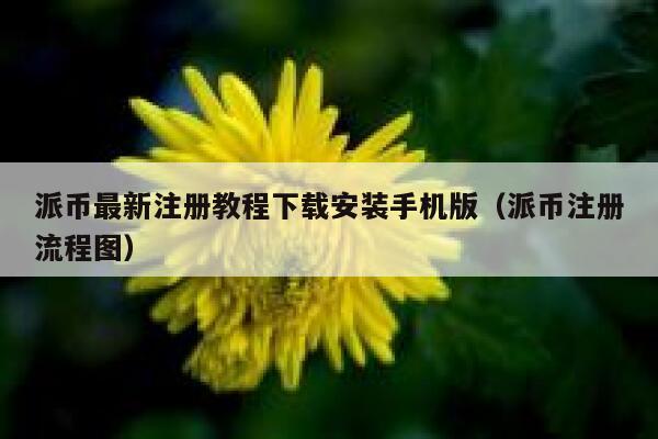 派币最新注册教程下载安装手机版（派币注册流程图） 第1张