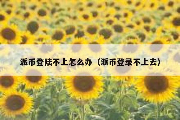 派币登陆不上怎么办（派币登录不上去） 第1张