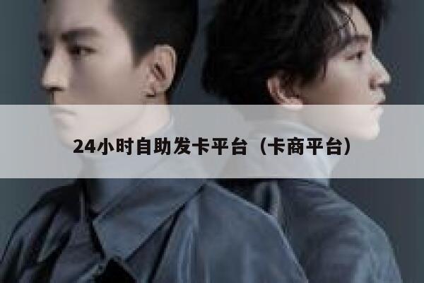 24小时自助发卡平台（卡商平台） 第1张