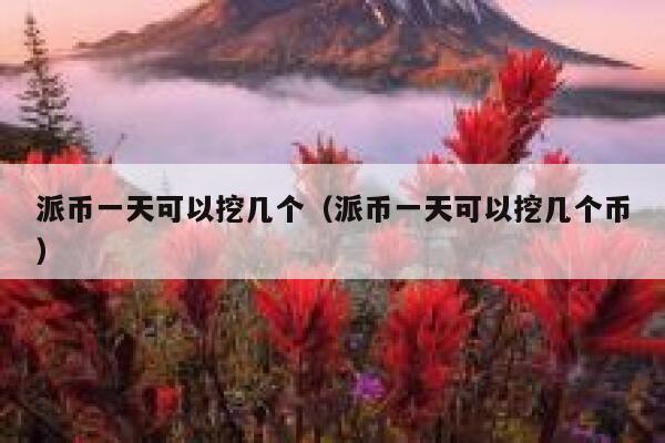 派币一天可以挖几个（派币一天可以挖几个币） 第1张