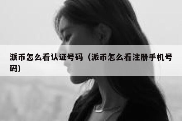 派币怎么看认证号码（派币怎么看注册手机号码） 第1张