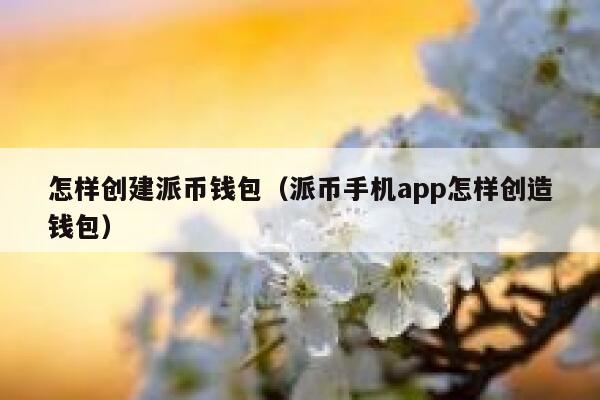 怎样创建派币钱包（派币手机app怎样创造钱包） 第1张