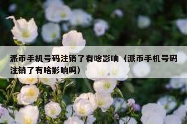 派币手机号码注销了有啥影响（派币手机号码注销了有啥影响吗） 第1张