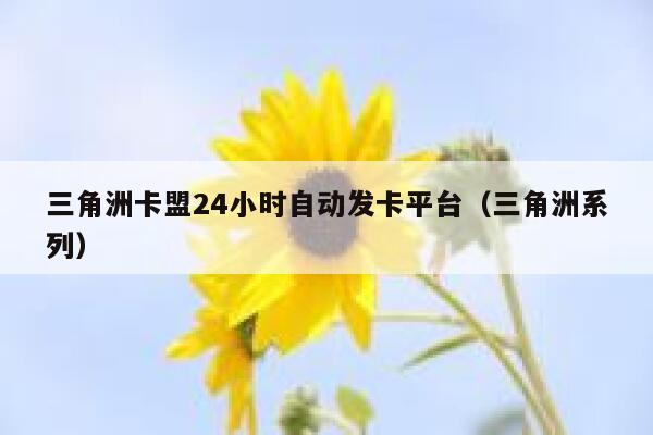 三角洲卡盟24小时自动发卡平台(三角洲系列) 第1张 三角洲卡盟24小时自动发卡平台(三角洲系列) 第1张