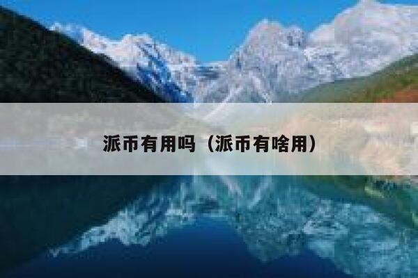 派币有用吗（派币有啥用） 第1张