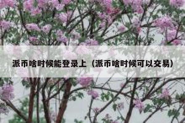 派币啥时候能登录上（派币啥时候可以交易） 第1张