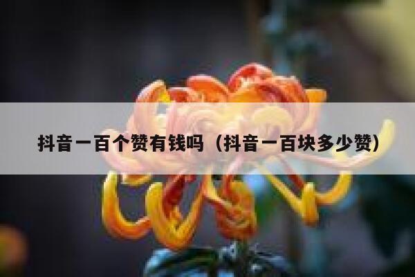抖音一百个赞有钱吗（抖音一百块多少赞） 第1张