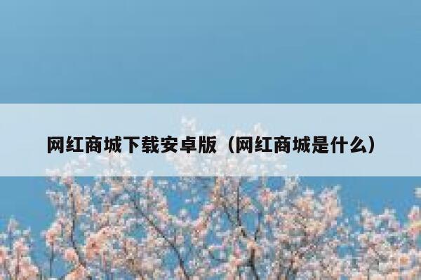 网红商城下载安卓版（网红商城是什么） 第1张